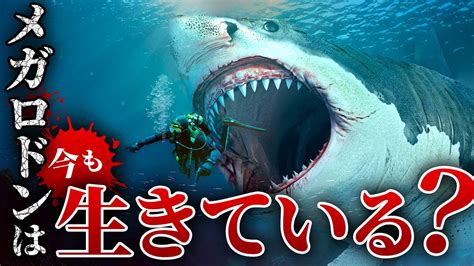 メガロドン絶滅は嘘だった？超巨大ザメの生存説を徹底解説！【古代ザメ】【meg】 Youtube