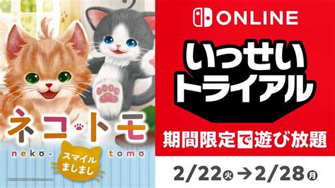 日服nso会员免费试玩《猫咪伙伴》 2月22日开始3dm单机