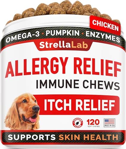 10 Life-Saving Dog Food Allergy Treatments that will Keep Your Furry ...