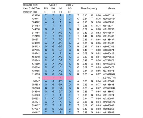 The Haplotypes Around The C 316 2T A Mutation In The 2 Families