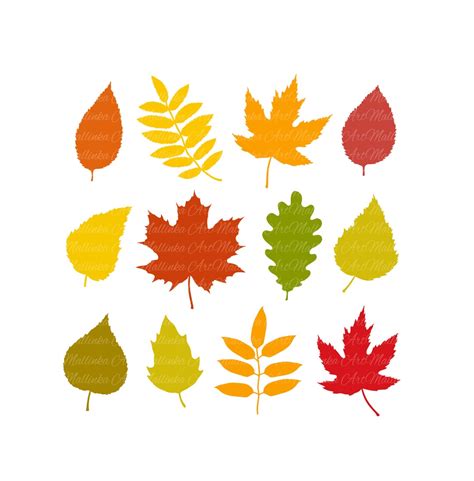 Fall. Fall Svg. SVG. Leaves Svg. Leaf. Leaves. Vector Element. Leaves Silhouettes. Cut Files ...