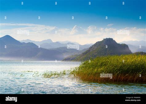 Lake Skadar national park on Montenegro Stock Photo - Alamy