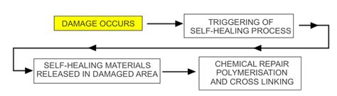 Self Healing Materials Polymers Elastomers And Concrete