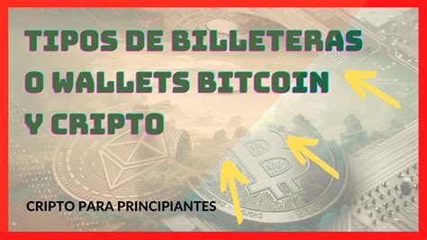 Tipos De Wallets Billeteras Bitcoin Y Cripto Youtube