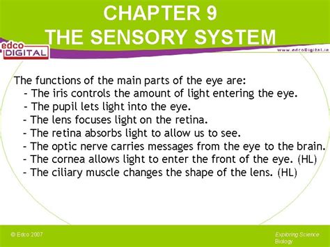 Chapter The Sensory System The Sensory System