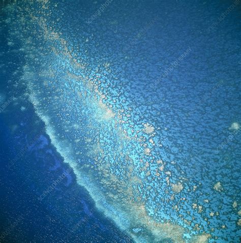 Aerial view of a coral reef in the Bahamas - Stock Image - E690/0025 ...