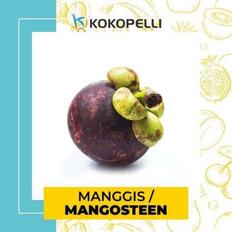 Jual Buah Manggis Mangosteen Manis Segar Fresh Dari Kebun Per Kg