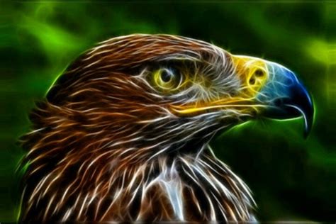 Awesome Fractal Bird Image Arte Fractal Arte Fotos De Aguilas