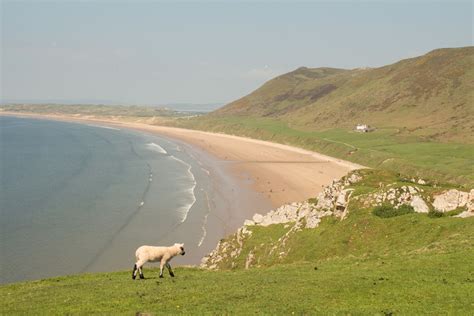 RHOSSILI BAY CLIFFS - Diamond Canopy