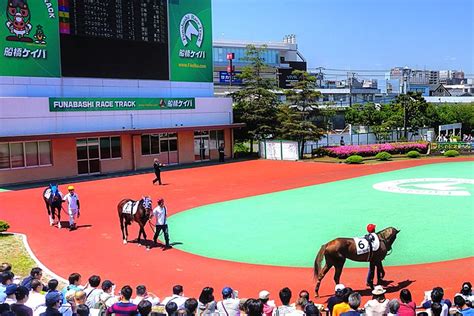 【かしわ記念2023予想】今年はjra勢ではなく地方馬の台頭か？注目したい2頭とは？ 競馬ヘッドライン