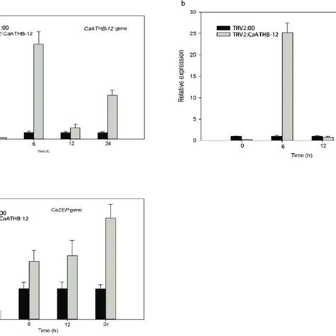 Expression Profiles Of Regulatory Genes Related To Carotenoid Synthesis