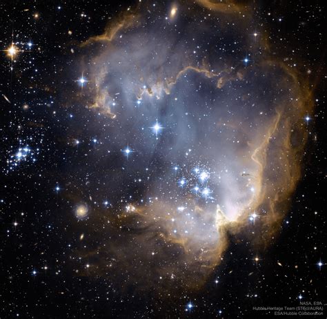 NGC 602 ve Ötesi | APOD - Evrim Ağacı