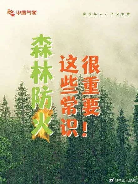 应急科普丨防患于“未燃”！森林防火，这些常识很重要！ 关注森林