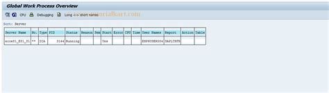 Sm66 Sap Tcode Systemwide Work Process Overview