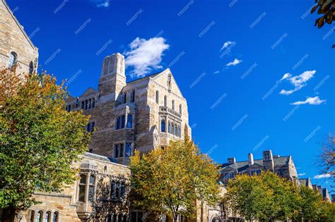 Premium Photo New Haven City Downtown Skyline Cityscape Of