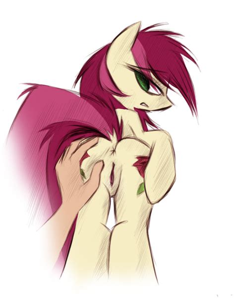 191422 Explicit Artist Kejifox Roseluck Human Pony G4 Anus