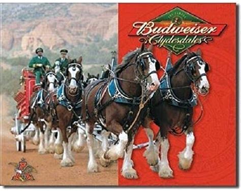 Amazon Co Jp SRongmao Anheuser Busch Budweiser Beer Bud Clydesdales