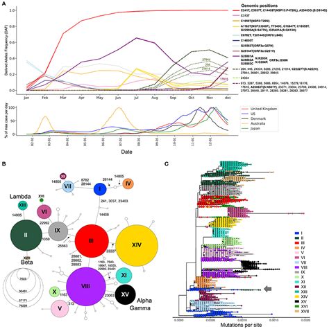 Frontiers Population Genomics Approaches For Genetic Characterization