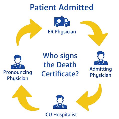 Understanding Death Certification The Critical Process Behind Recording Final Moments