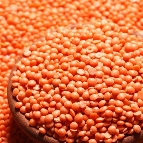 Naturally Grown Whole Red Masoor Dal At Best Price In Navi Mumbai Rdt