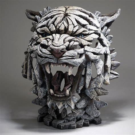 Tiger Bust Siberian Edb02w Edge Sculpture By Matt Buckley