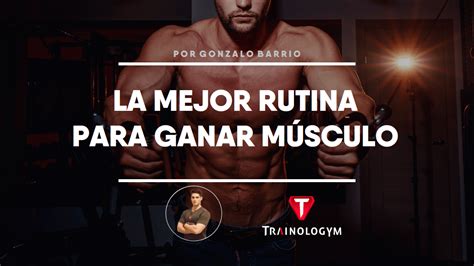 La Mejor Rutina Para Ganar MÚsculo Trainologym