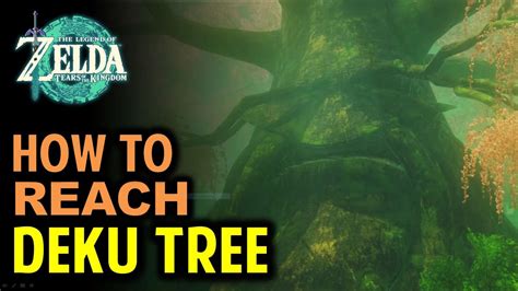 How To Reach Deku Tree In Korok Forest Zelda Tears Of The Kingdom