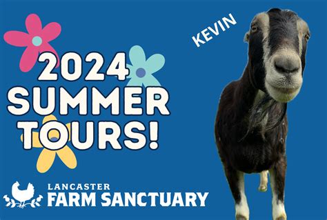 Summer Tours 2024! - Lancaster Farm Sanctuary