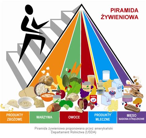 Piramida zdrowego żywienia