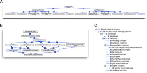 Structure Of MPATH A Overall Structure Of The Top Level Classes In