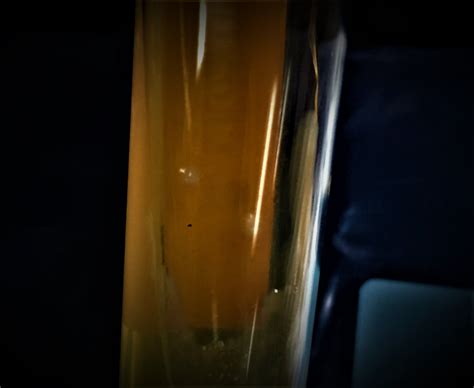 Solved . U LE | Chegg.com 