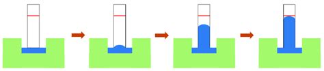 Diagram of capillary flow rate test. | Download Scientific Diagram