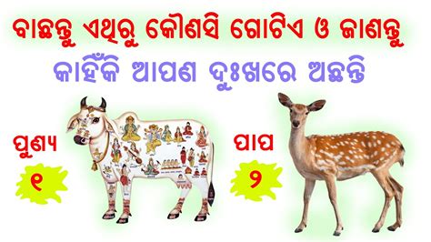 ବାଛନ୍ତୁ କୌଣସି ଗୋଟିଏ ସଂଖ୍ୟା ବା Number ଏବଂ ଜାଣନ୍ତୁ କେବେ ଆପଣଙ୍କ ଦୁଃଖର ଦିନ