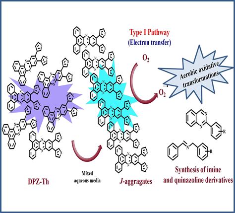 Type I Lighted Metalfree Photosensitizing Assemblies Of Phenazine