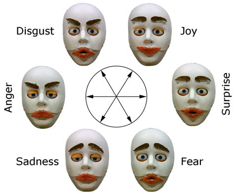 Facial Expressions Generated By Expressive Robot Head Download