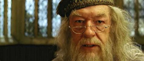 The Top 8 Best Hogwarts Professors Hobbylark