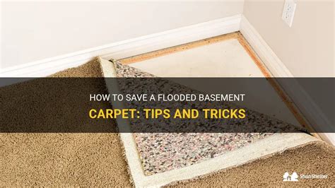 How To Save A Flooded Basement Carpet: Tips And Tricks | ShunShelter