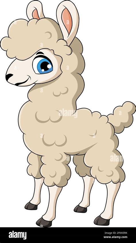 Cute Llama Animal Cartoon Illustration Stock Vector Image & Art - Alamy