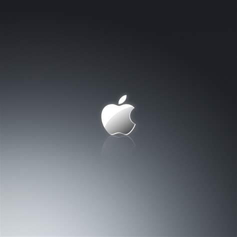 Grey Apple Logo iPad Wallpaper | ipadflava.com