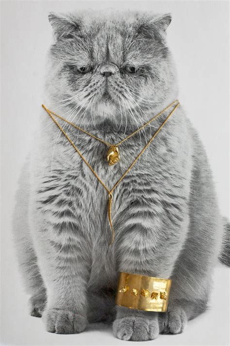 Cat Jewelry Fall Necklace Bracelet Ring Trends