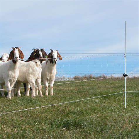 Electric Fence And Netting For Goats Premier Supplies