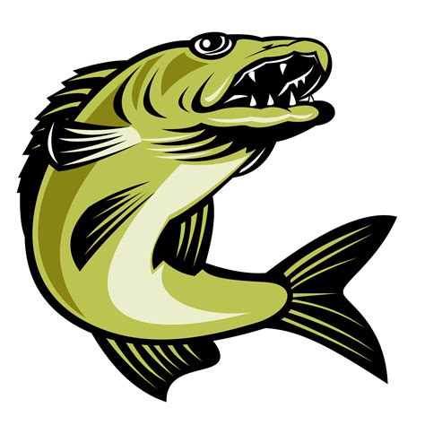 walleye fish jumping 13261013 PNG