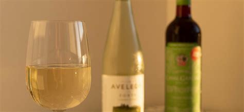 Green wine (verde): what is it, features, specifics, famous brands ...