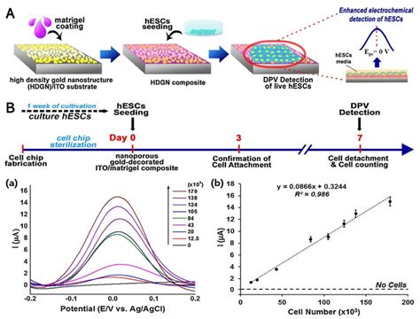 A Optimization Of A High Density Gold Nanostructure HDGN Composite