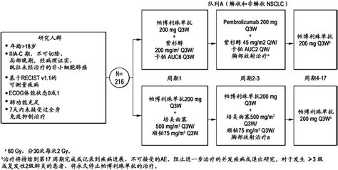 使用pd 1拮抗剂、放化治疗以及parp抑制剂的组合治疗癌症的方法与流程