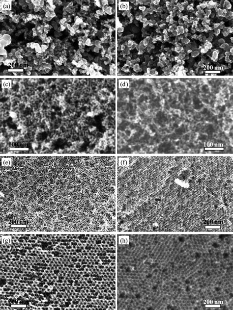 Field Emission Scanning Electron Microscope FE SEM Images Of A VC