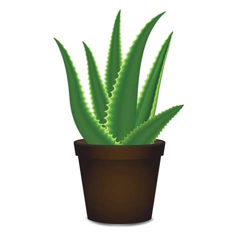 Aloe Vera Pot Icon Cartoon Style Vector Art At Vecteezy