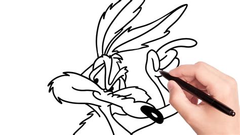 How To Draw Wile E Coyote Step By Step Howtodraw Drawingtutorial