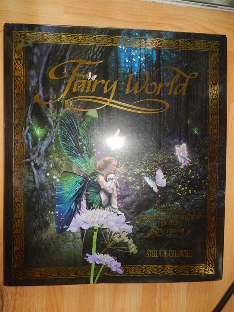 Book Review Fairy World