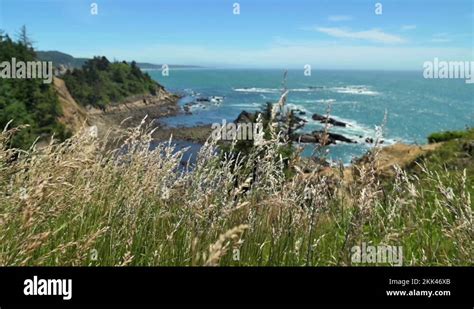 Cape arago state park Stock Videos & Footage - HD and 4K Video Clips - Alamy